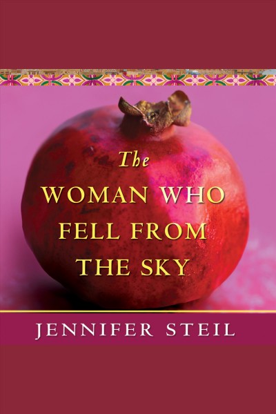 The woman who fell from the sky [electronic resource] : an American journalist in Yemen / Jennifer Steil.