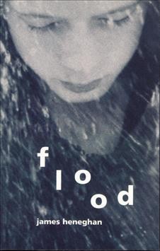 Flood [electronic resource] / James Heneghan.