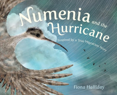 Numenia and the hurricane : inspired by a true migration story / Fiona Halliday.