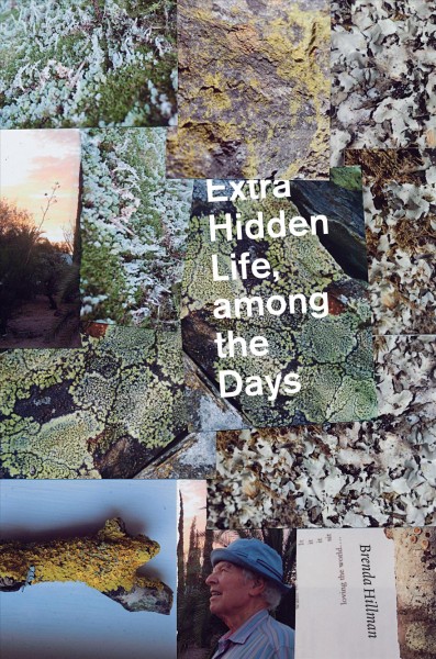 Extra hidden life, among the days / Brenda Hillman.