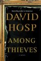 Among thieves  Cover Image