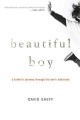 Beautiful boy : a father's journey through his son's addiction  Cover Image