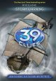 Storm warning Book 9:  The 39 clues Cover Image