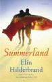 Summerland : a novel  Cover Image