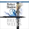 Perfect shadow Cover Image